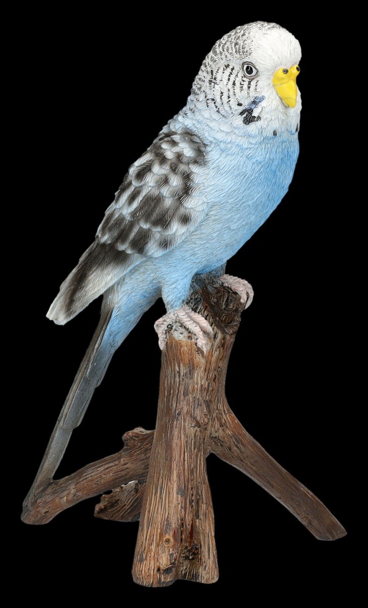 Garden Figure Budgie – Animal –Bird– Poly-Resistance – Balcony Decor 16,5cm