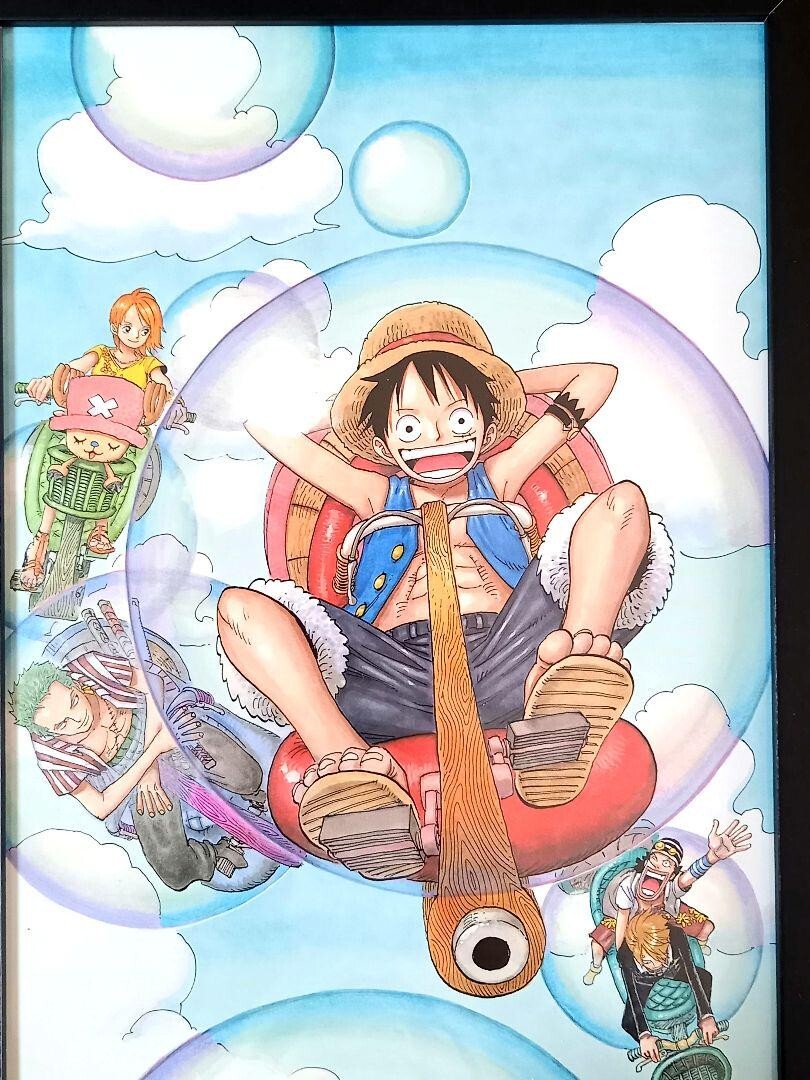 One Piece Straw Hat Pirates Framed illustration Art Luffy Zoro