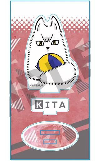 Acrylic Stand Panel Shinsuke Kita Gyugyti Figure Haikyu To Top