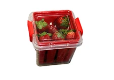 Fruit and Vegetable Saver Storage Basket Strawberries Blueberries Container