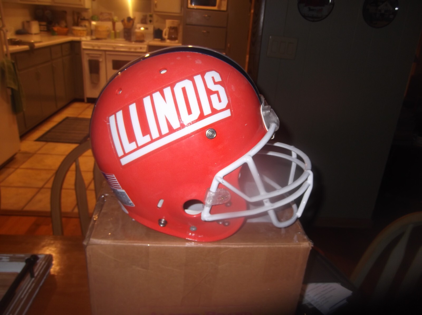 Vintage Illinois Fighting Illini Full-Size Replica Football Helmet