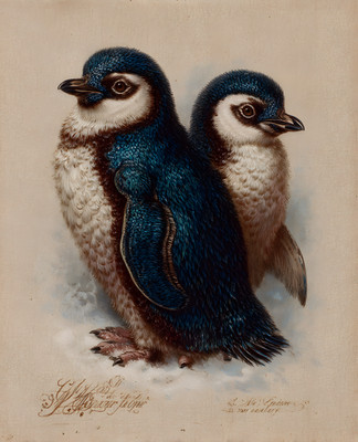 8x10 Wildlife Nature Animal Art Print - 565189300
