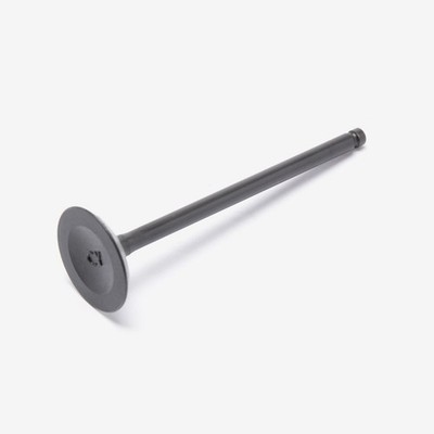 Roller Auspuff Einlassventil Einlassventil OEM Ersatz VLVIN053 ZYLINDERKOPF