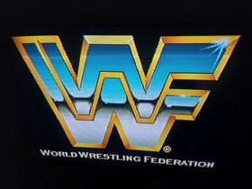WWF RAW Sega 32x  CIB With MANUAL Authentic Tested And Working