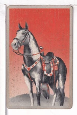 Single Vintage ID Animals, Horses, "Pony" Playing Card HB 8-7 B