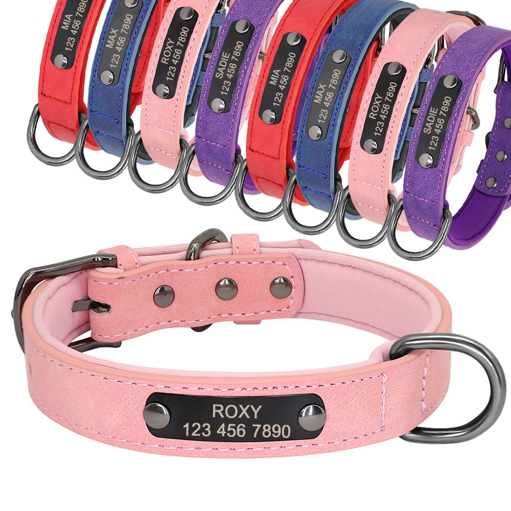 Soft personalized hotsell dog collars