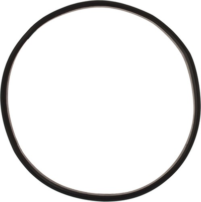 #ad Paint Pressure Pot Tank Lid Replacement Rubber Gasket for 8 Gallon 30 Liter $46.99