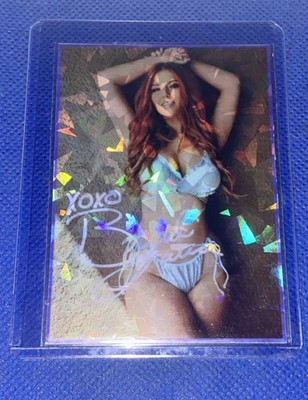 Brandi Lauren Custom WWE Divas Sexy Foil Prizm Trading Card wrestling aew