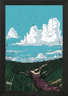 Weg durch Wiese mit bewölktem Himmel Gerahmtes Wandbild Poster Leinwanddruck Bild