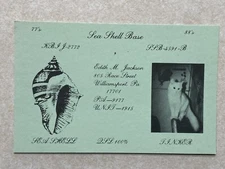 i 1404 Postcard CB QSL Sea Shell & T.I. N.ker Williamsport, Pennsylvania PA