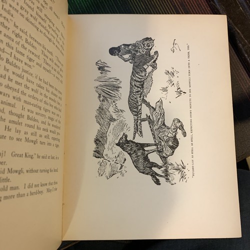 The Two Jungle Books by Rudyard Kipling 1927 Doubleday, Page & Co. illus. - Picture 10 of 12