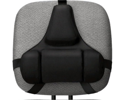 Fellowes 8037601 Professional Series Back Support with Microban  Protection