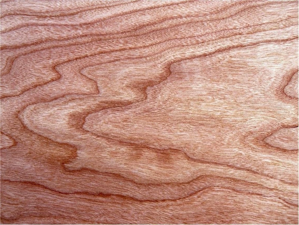 31 hojas am. CEREZA "CHERRY" chapa chapa de madera auténtica hoja construcción de muebles diapasón