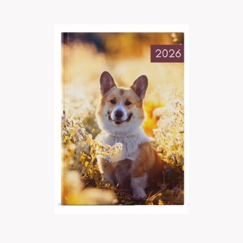 2025 Tagebuchwoche zum Anzeigen des ganzen Jahres Organizer Hardcover Planer A5 - Bild 24 von 40