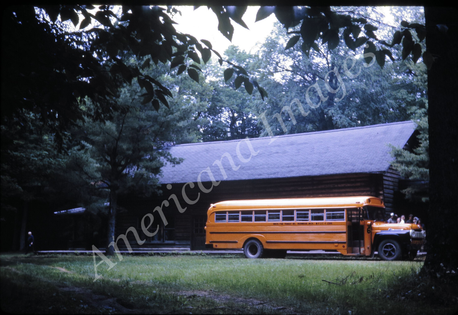 Afbeelding 207 van 251