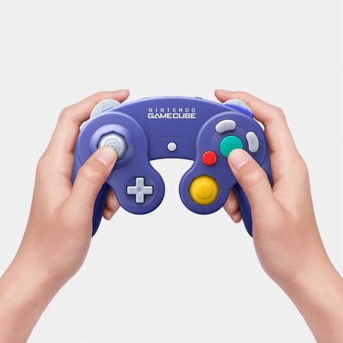Nintendo Switch 2 Esclusivo Controller GameCube Classics Switch Online - Foto 10 di 11