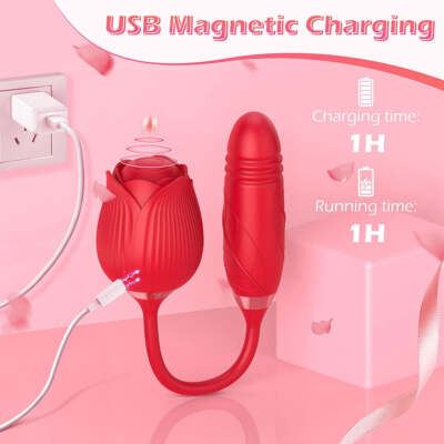 ebay rose toy Secret Kisses Rosegasm Air Pulse Clitoral Stimulator