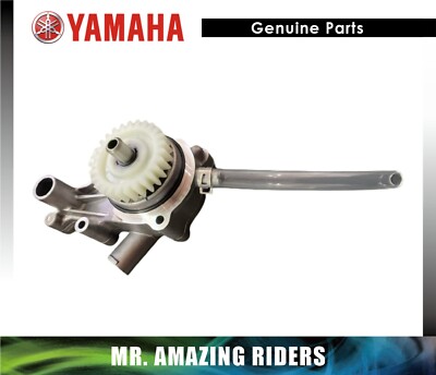 YAMAHA 2006 - 2024 RAPTOR 700 YFM 700R OEM KOMPLETTE WASSERPUMPENBAUGRUPPE