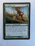 Seedguide Ash Lorwyn Regular