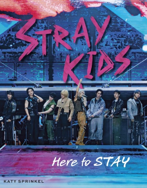 Stray Kids: Here to STAY - Image 8