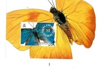 Turks and Caicos 1991 - Butterflies  - Souvenir Stamp Sheet - Scott #901 - MNH