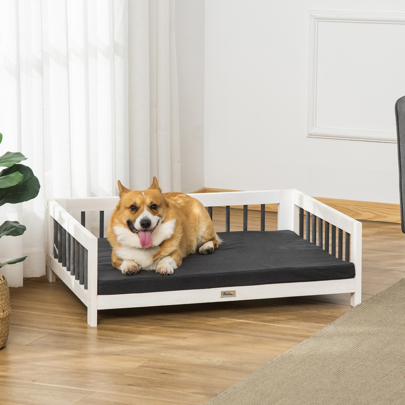 Are Elevated Dog Beds Good