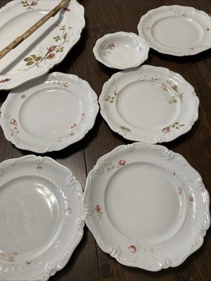 Royal Heidelberg Wintering Rose Brier Lot 13 Pieces