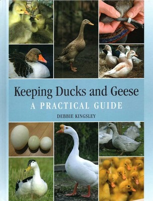 Keeping Ducks and Geese | A Practical Guide | Debbie Kingsley | Englisch | Buch