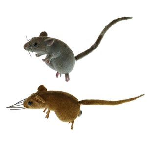 realistic mouse toy
