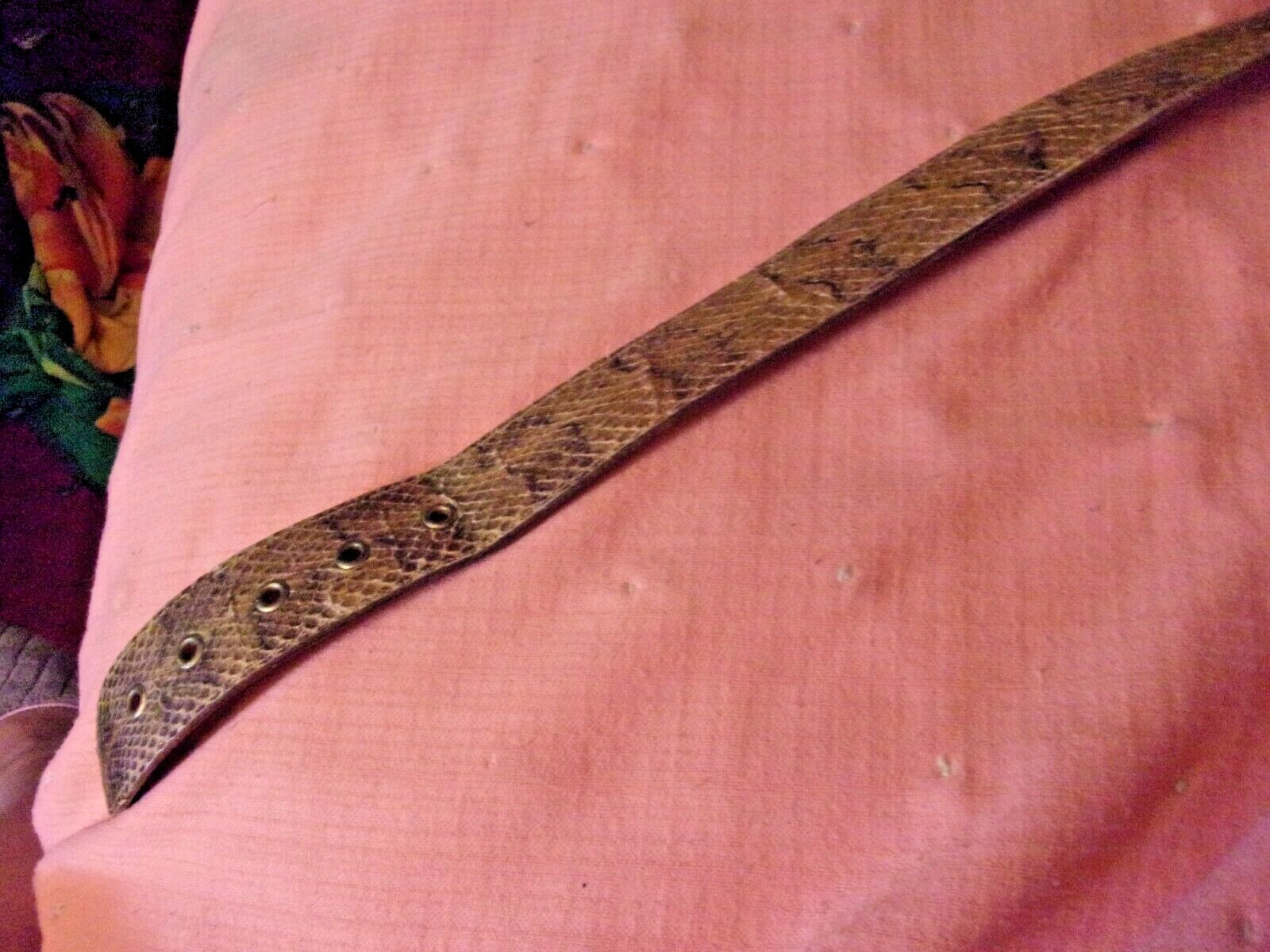 Picture 5 of 9