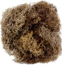 Create-a-Craft Decorative Spanish Moss Natural 8 oz Planters Floral Decor Crafts