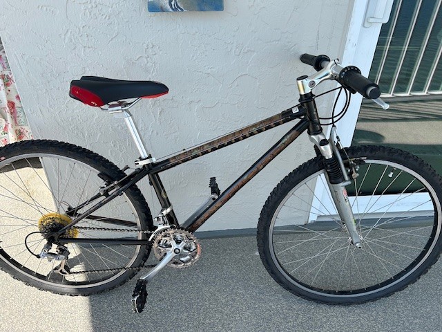 Mountain Bike - Gary Fisher Greatful Dead | eBay