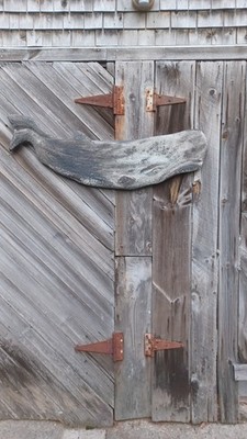 whale plaque art hand sculpted 50'' Nantucket sperm whale