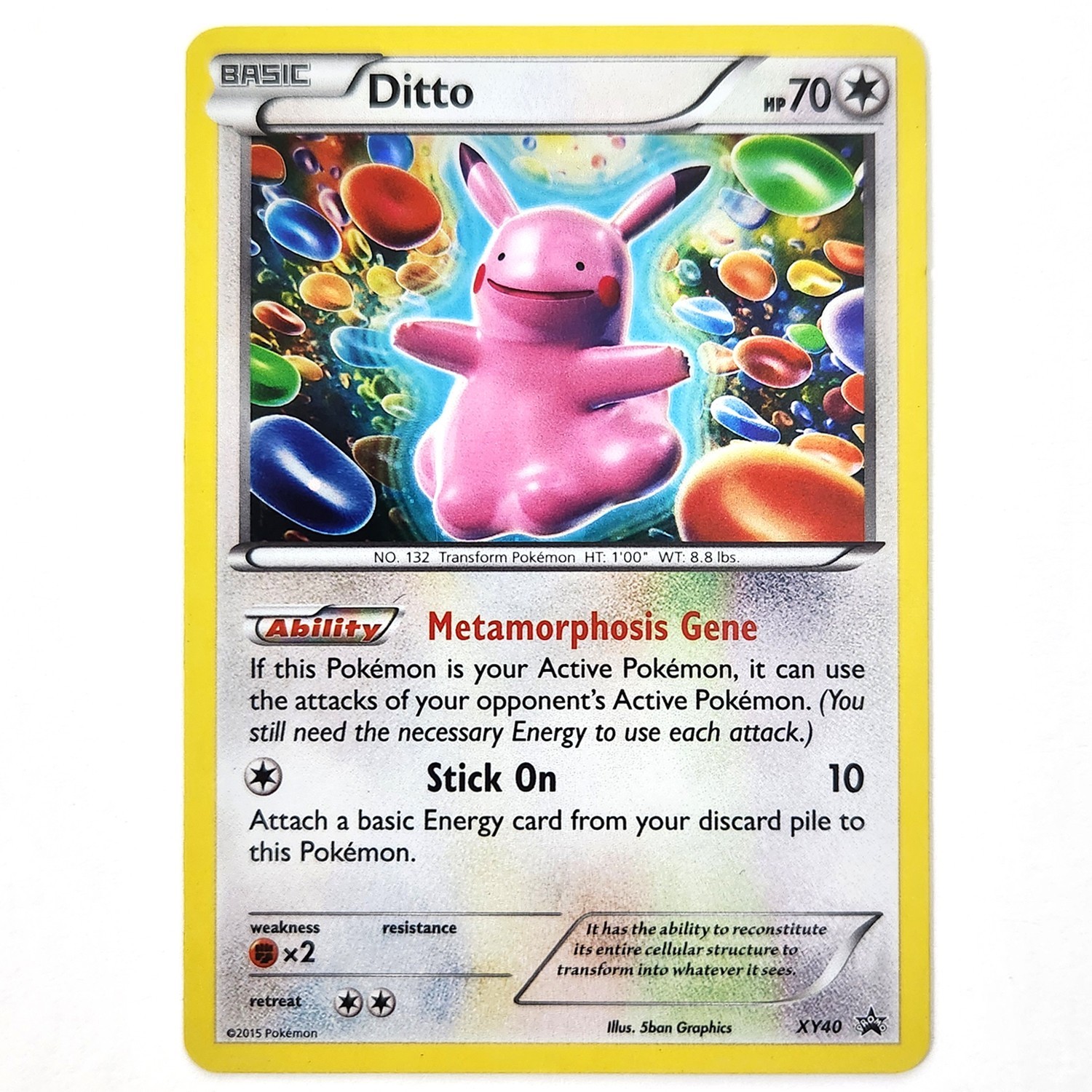Pokemon TCG Ditto Holo  XY40 XY Black Star Promos NM Near Mint