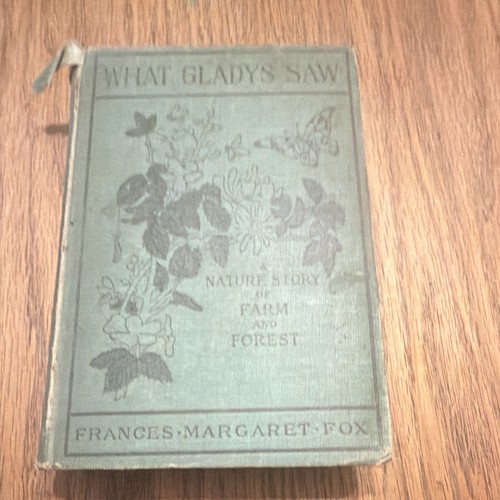 Frances Margaret Fox What Gladys Saw Hardcover Illustrated W.A. Wilde 1902