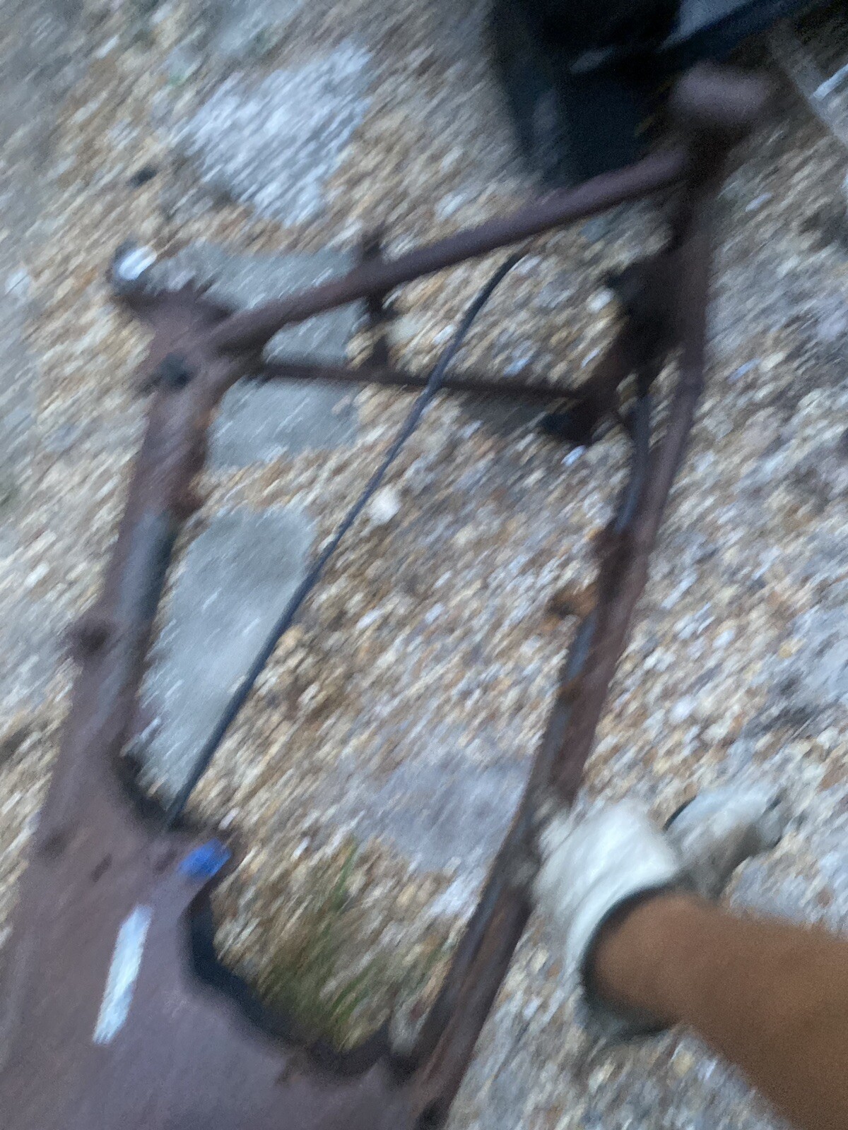 Picture 17 of 19