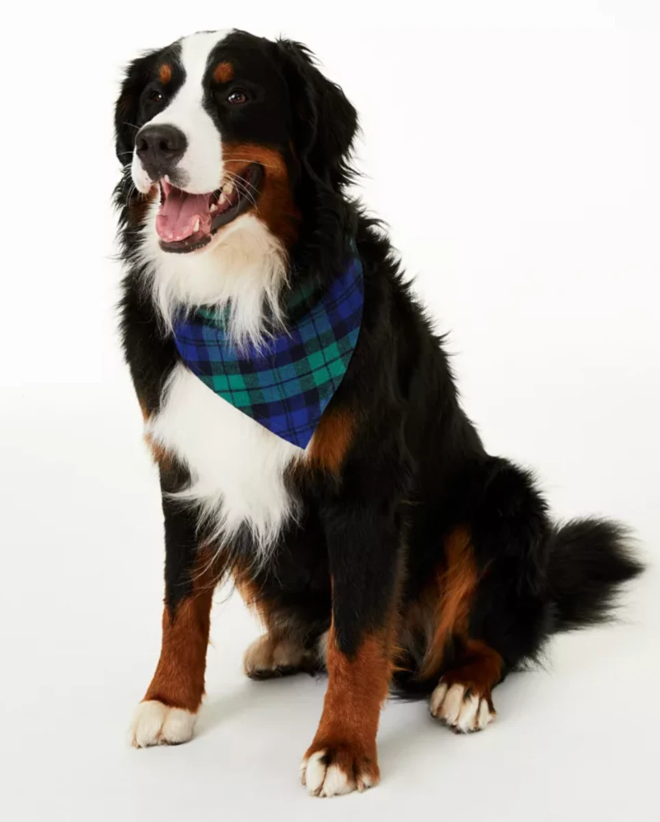 FAMILY PAJAMAS Black Watch Plaid Pet Bandana sz L XL Large X