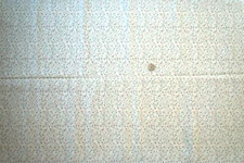 Fabric Floral Cotton Vines With Small Flowers 1.5 Yard Piece X WOF