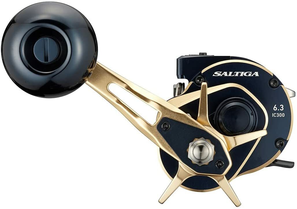 Daiwa 21 SALTIGA IC 300L Left 6.3 Baitcast Reel From Japan New | eBay