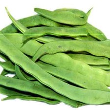 SEMILLAS ENANAS DE FRIJOL PLAZA Semilla vegetal Frijol enano Frijoles planos No transgénicos Plazza Frijol