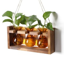 "Plant Propagation Station with Wooden Stand Unique Terrarium Gift for Women"