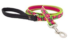 Lupine Dog Leash 6-Foot by 3/4 Wide Petunias ...