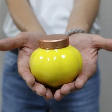 Memorial Pet Ashes Urn for Small Animal, Ceramics Memorial Keepsake Urns 5.4oz