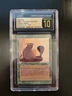 Nafs Asp Dark Arabian Nights CGC 10 Pristine MTG