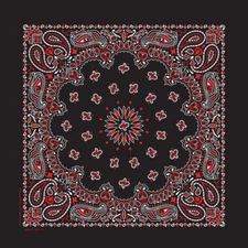 Hav-A-Hank Paisley Bandanna 22"X22" Black, Red & White