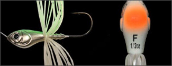 ジャントニオ猪馬 専用 アントニオ猪木 実使用ライオンマークジャンパー ※早期売約され