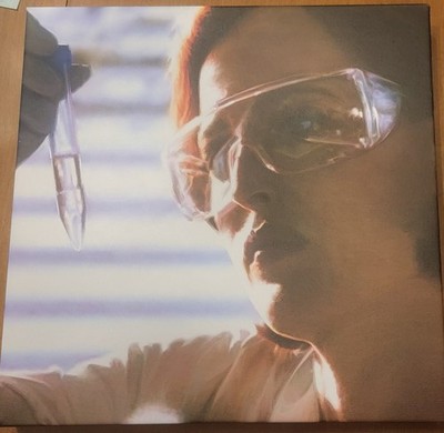 X-Files Dana Scully Laboratory Scientist Digital Print On Canvas