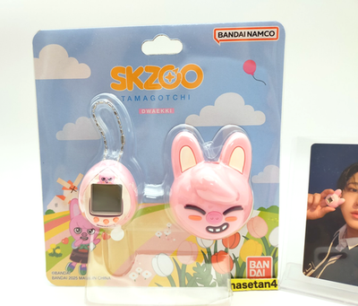 straykids チャンビン DWAEKKI セット Skzoo Dwaekki Gift Box - Etsy