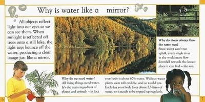 Why Are There Waves?, DK, Very Good Book