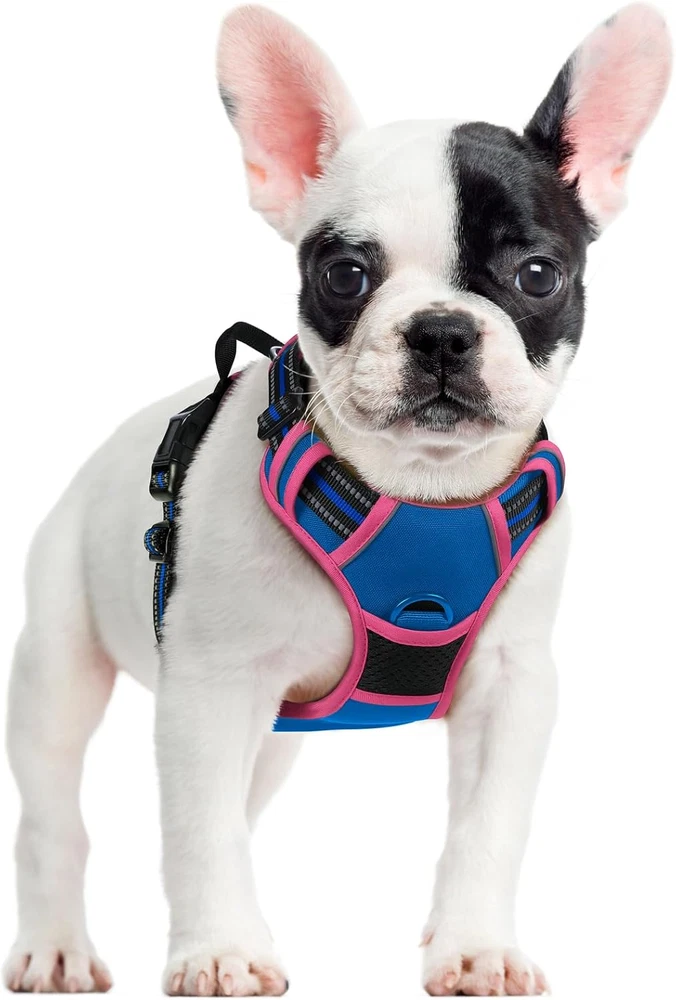 Dog Harness No Pull with 2 Leash Clips, Adjustable Soft Padded, Reflective Oxfor